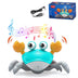 Crab Baby Toy